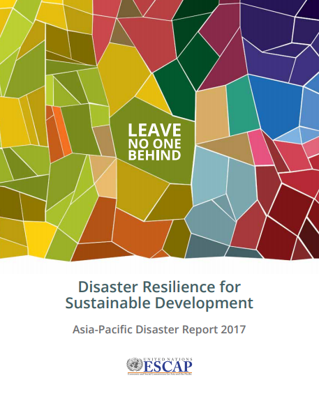 Disaster Resilience for Sustainable Development