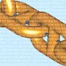 Small and Medium Enterprises and ICT