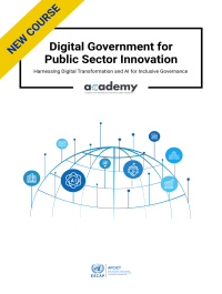 Digital Government for Public Sector Innovation: Harnessing Digital Transformation and AI for Inclusive Governance